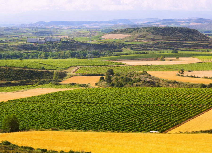 Nuovo Programma PAC 2023–2027 (CSR Sicilia)