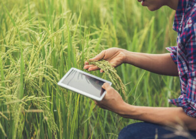 Agricoltura intelligente