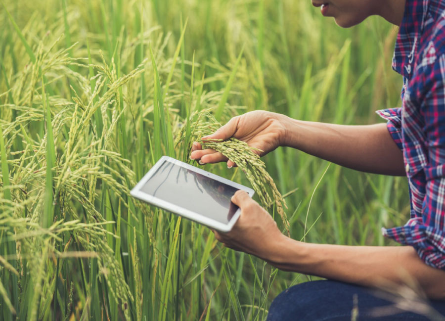 Agricoltura intelligente