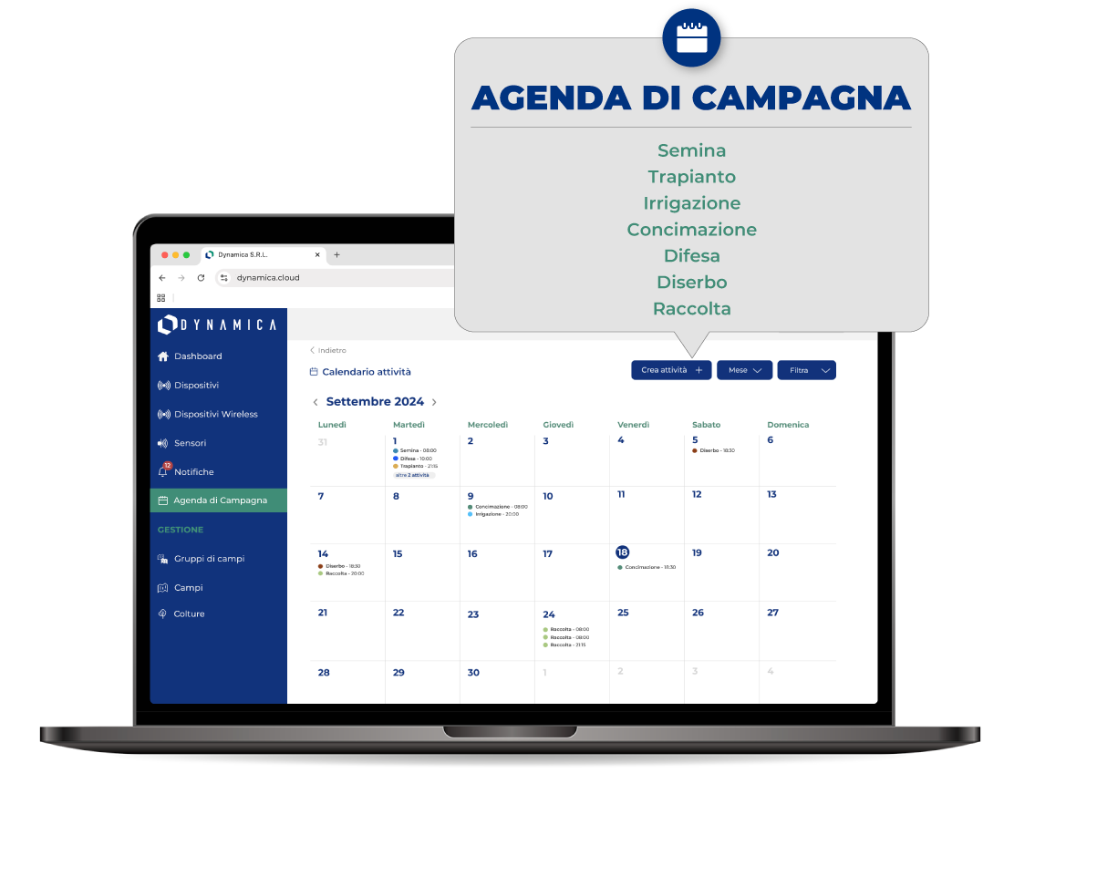 03_screen_dynamica